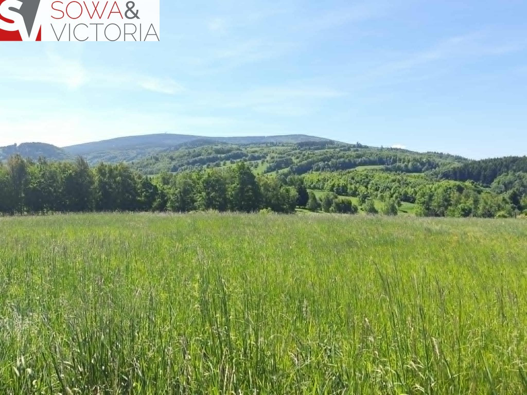 Piekna panorama - Widok 3