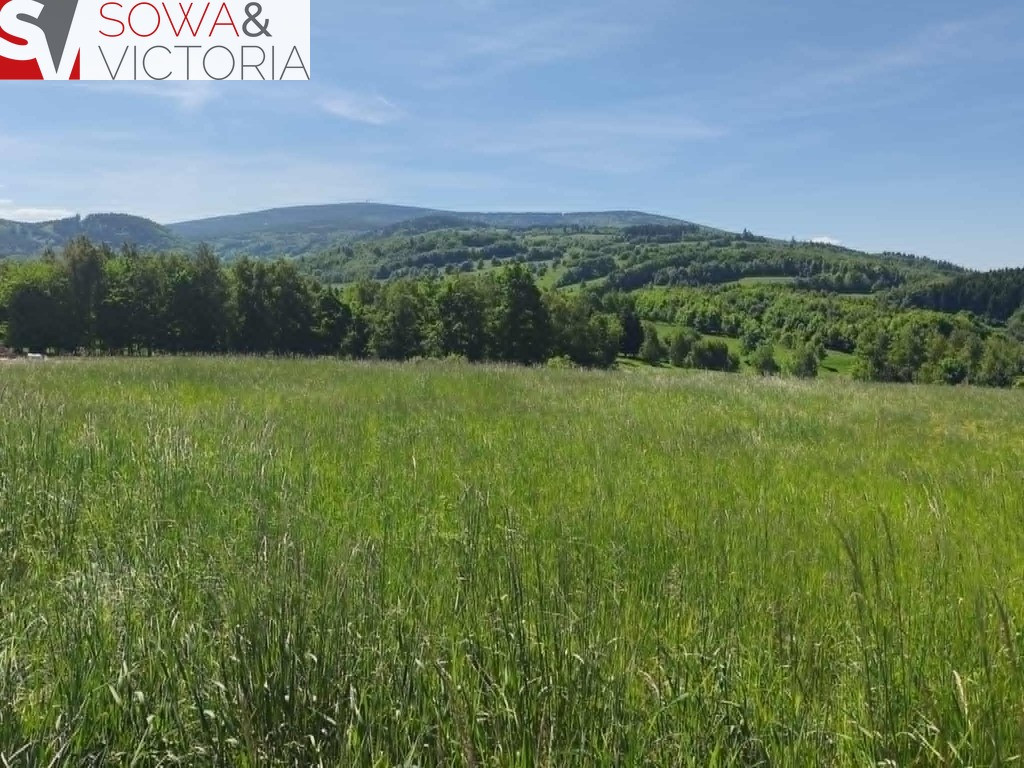 Piekna panorama - Widok 4