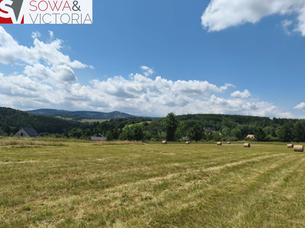 Piekna panorama - Widok 5