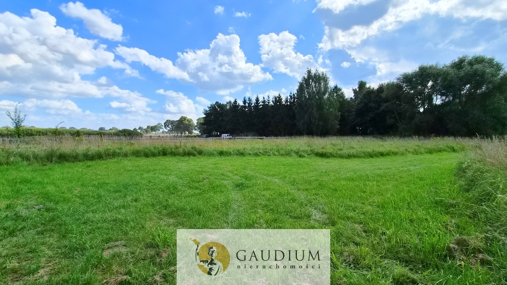 House in Zalewo, Polajny - View 4