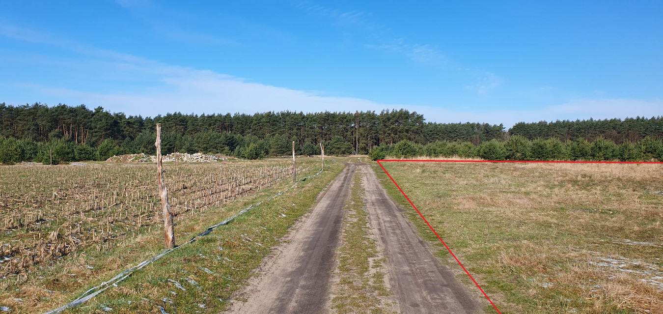 Atrakcyjna działka budowlana-uzbrojona przy Lesie Trachy - Widok 2