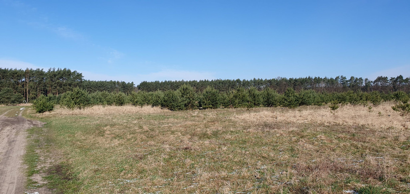 Atrakcyjna działka budowlana-uzbrojona przy Lesie Trachy - Widok 3