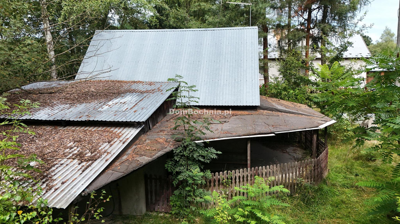 Zaciszna działka 24ary Chronów obok Winnicy - Widok 2