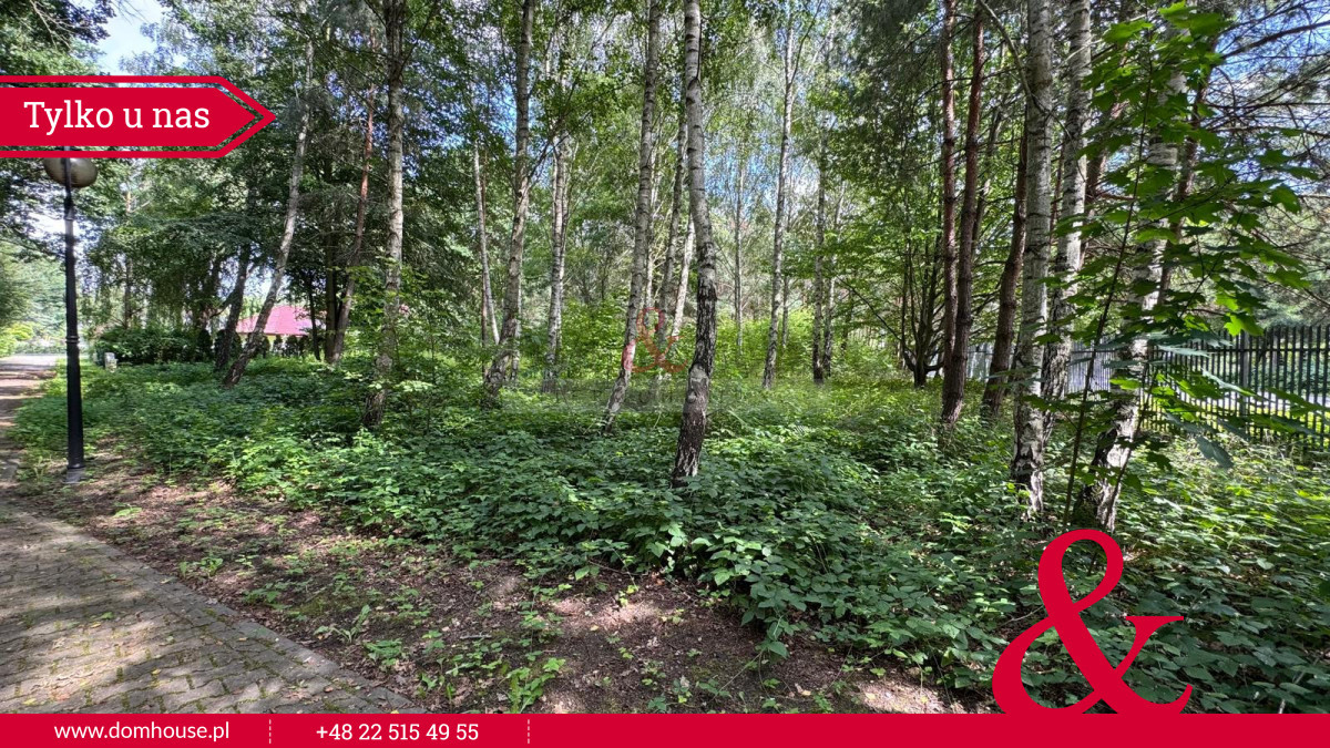 Malownicza działka w otoczeniu lasu - Widok 5