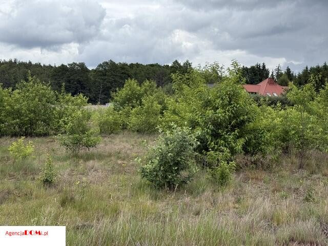 Zboiska-2km od Pałacu,1211m,woda,prąd na działce,bud,w osiedlu - Widok 2
