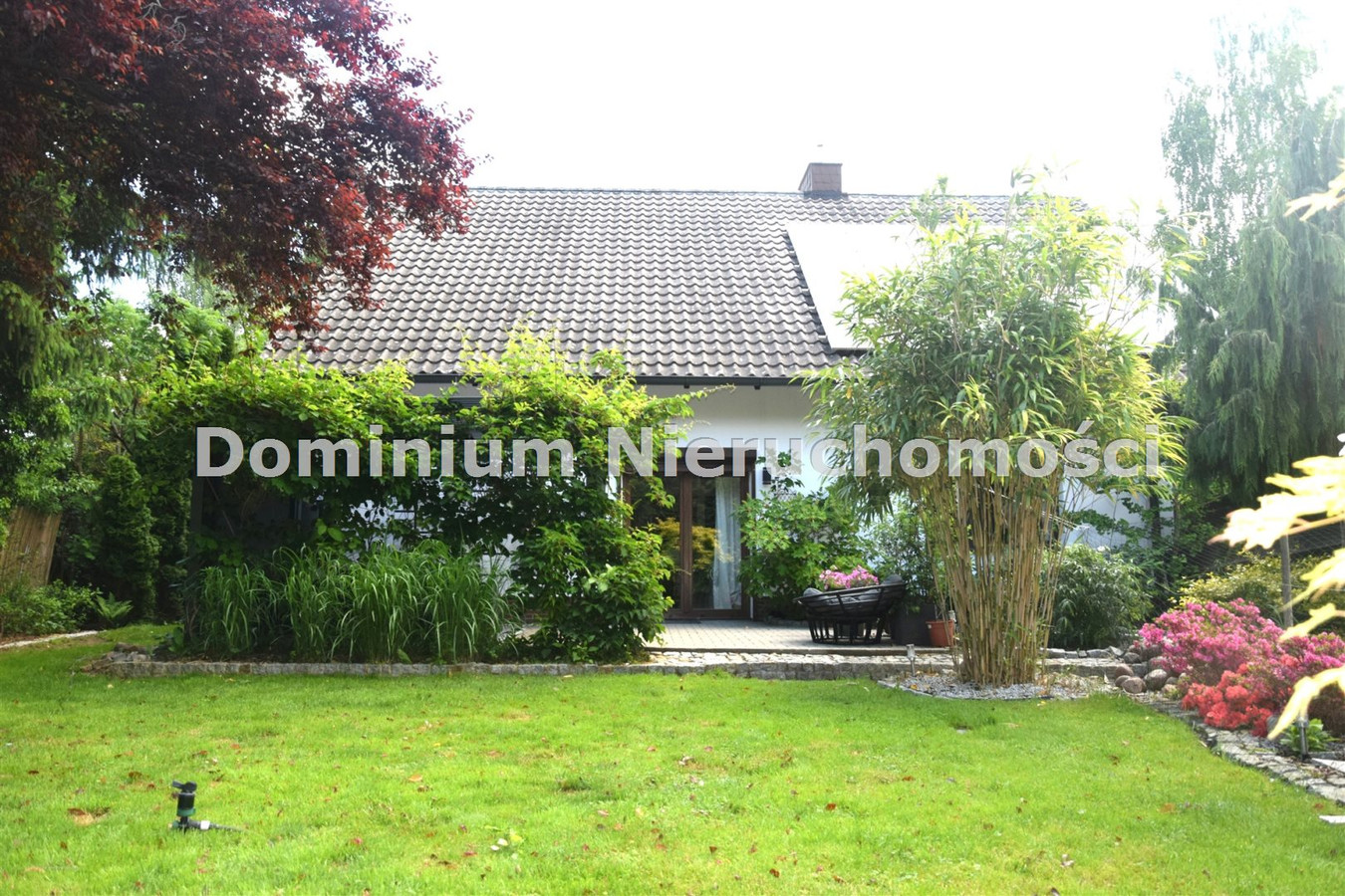 House in Kamieniec Wrocławski - Widok 2