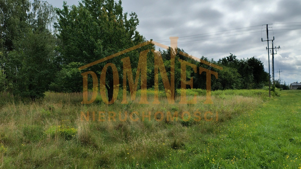 Okazja ! Działka budowlna-rolna 4,5 ha gm.Leoncin - Widok 3