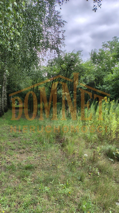 Okazja ! Działka budowlna-rolna 4,5 ha gm.Leoncin - Widok 5