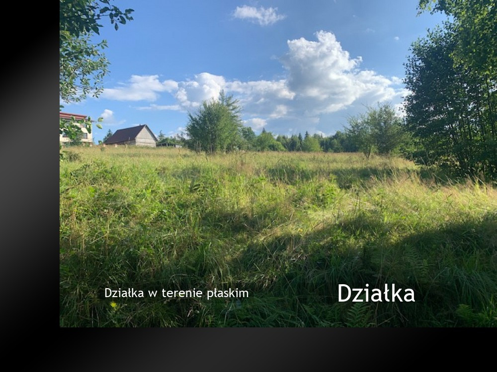 Działka w terenie płaskim - Widok 3