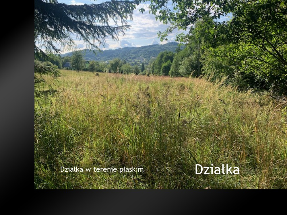 Działka w terenie płaskim - Widok 2