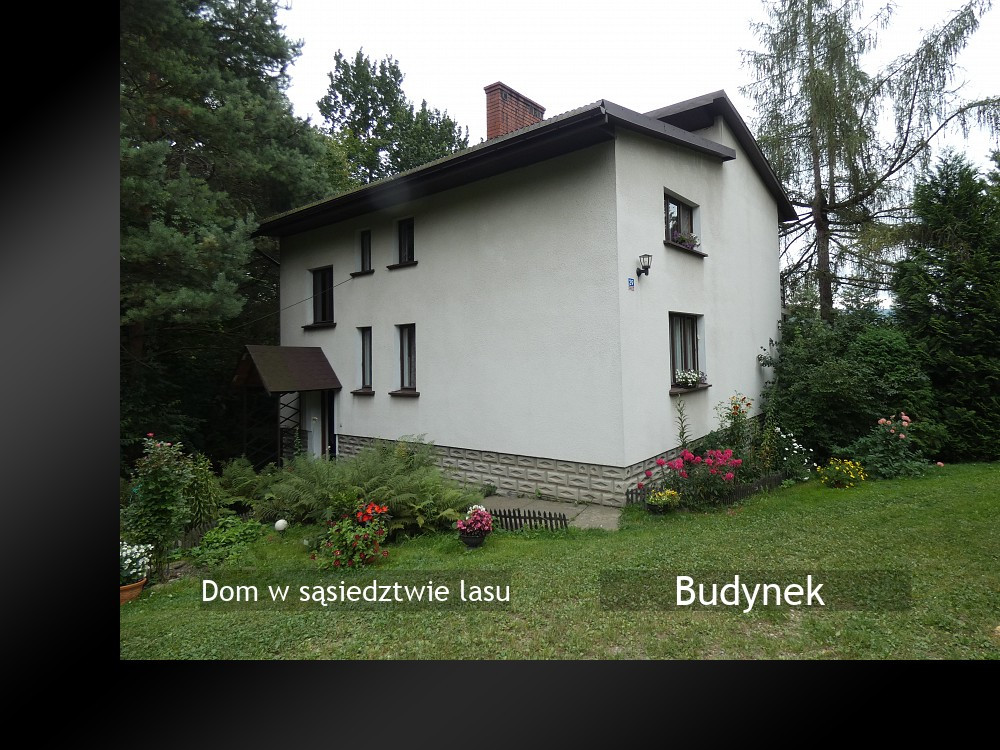House in Żywiec, powiat żywiecki - Widok 3