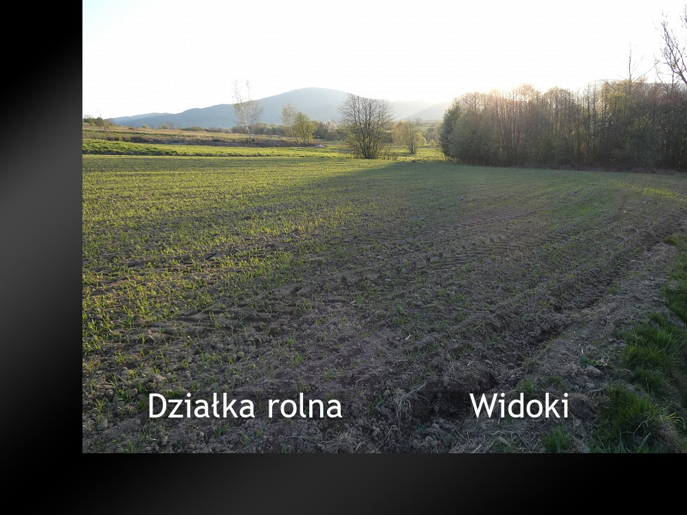 Działka rolna - Widok 2