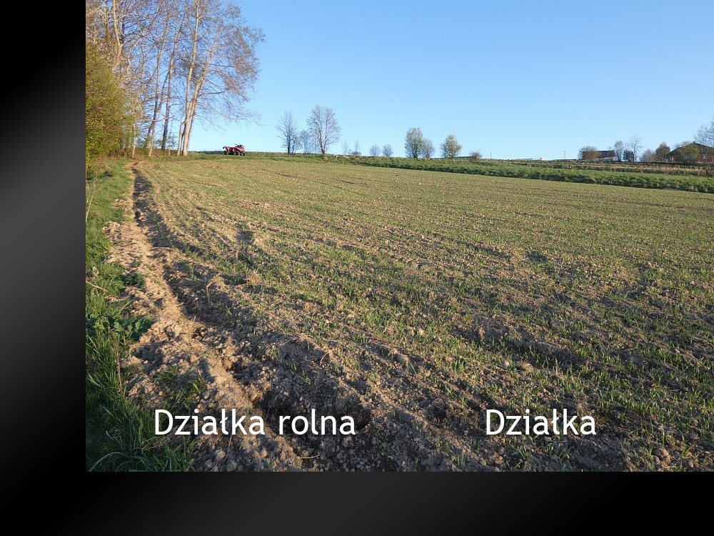Działka rolna - Widok 3