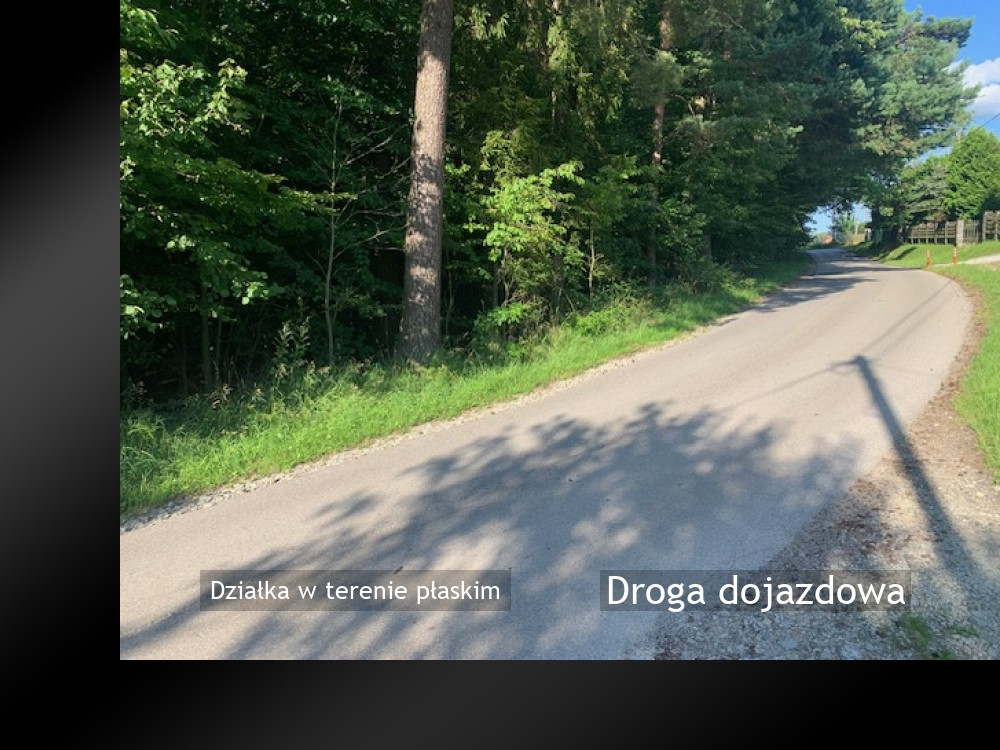 Działka w terenie płaskim - Widok 4