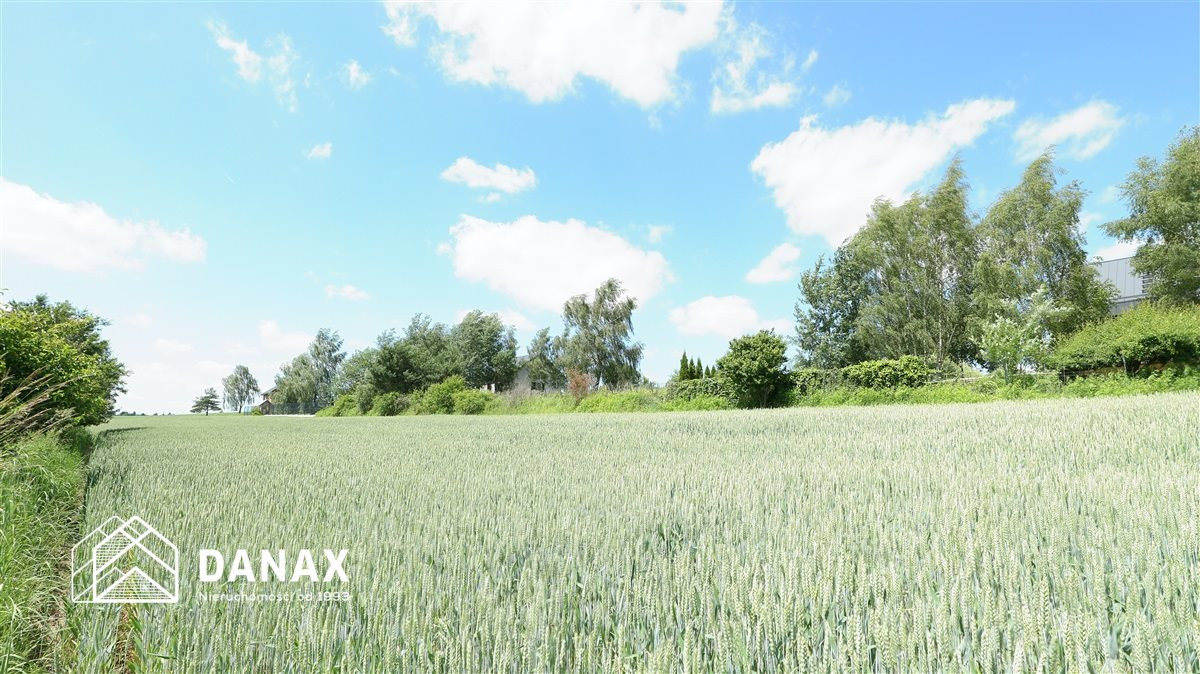 Działka z pozwoleniem na budowę w Cianowicach - Widok 5