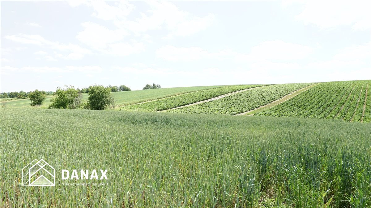 Działka z pozwoleniem na budowę w Cianowicach - Widok 2