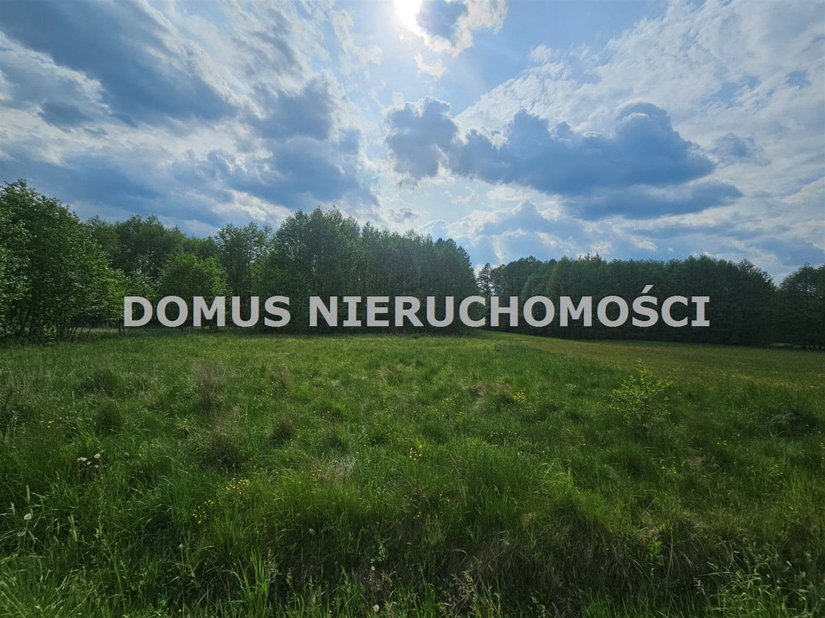 Działka z wydanymi warunkami zabudowy - Widok 3