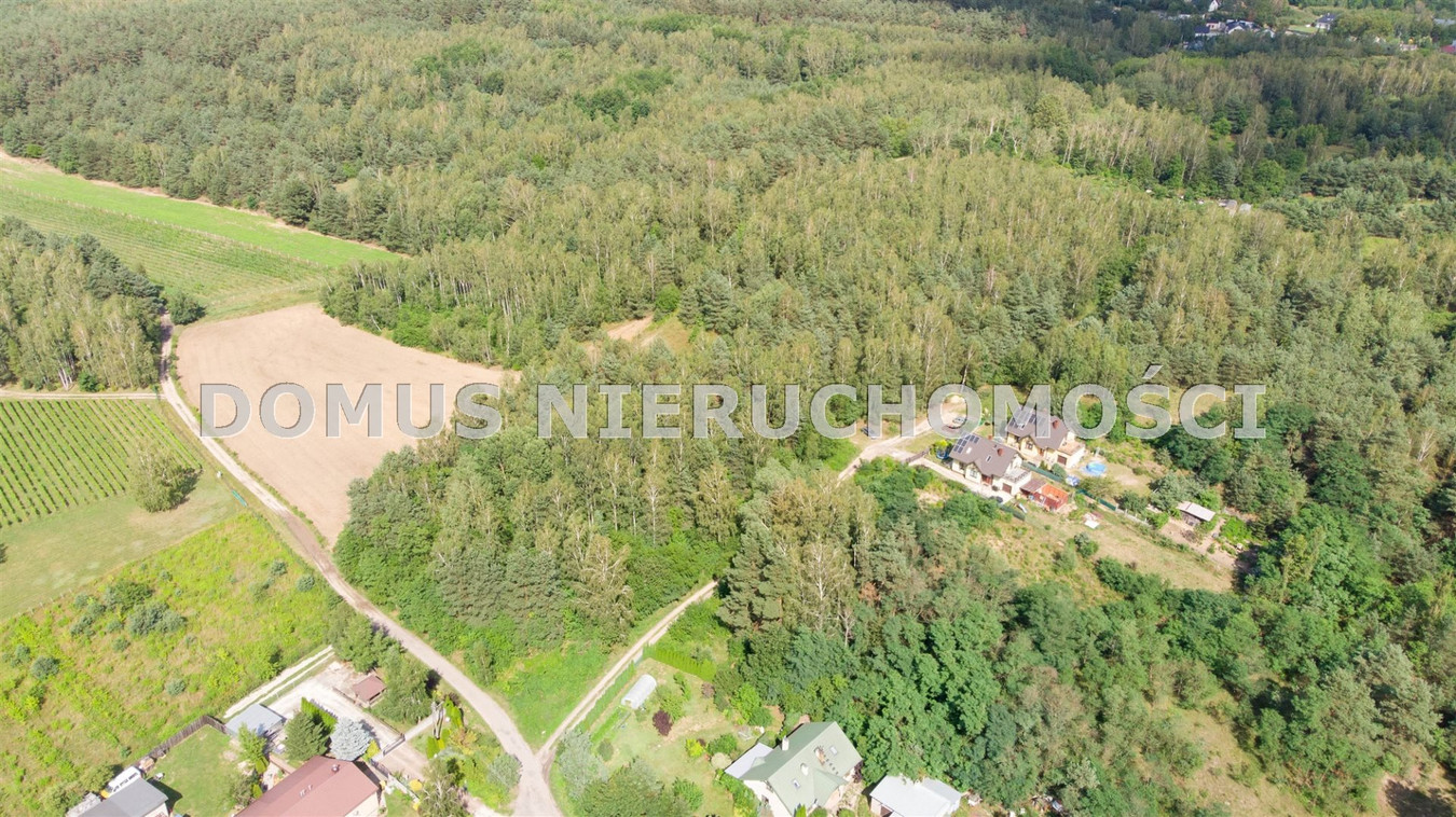 Działka inwestycyjna w Brzezinach - Widok 5