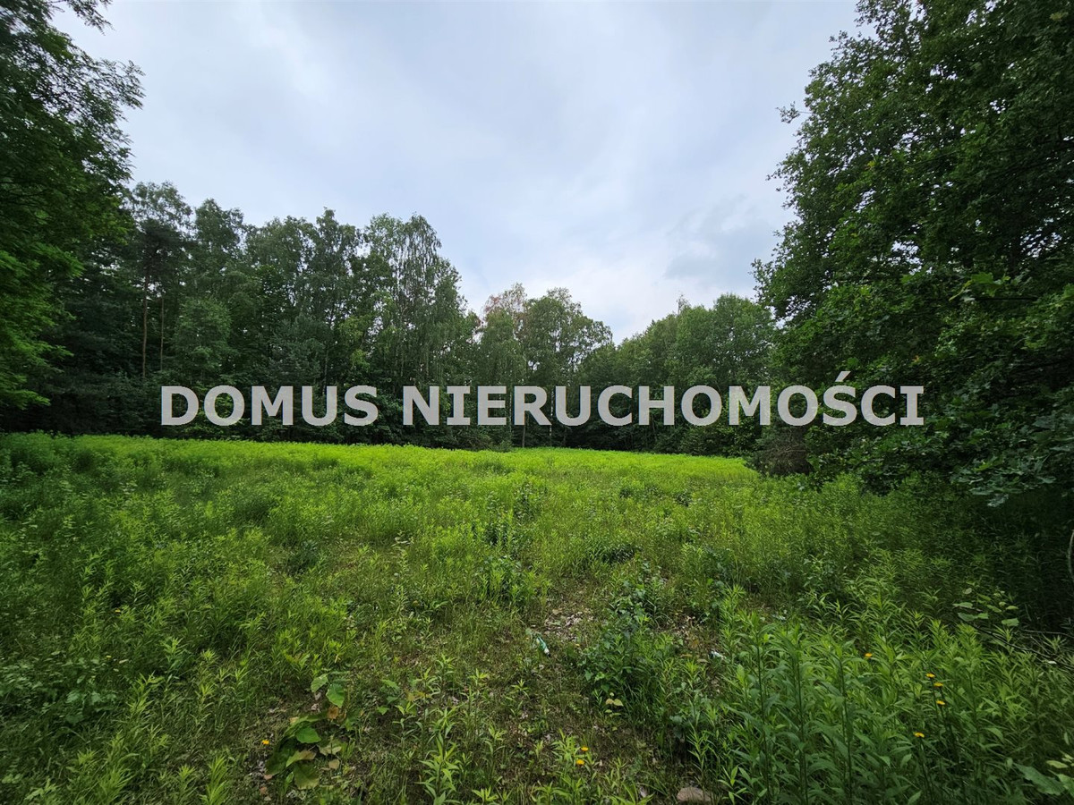 Działka inwestycyjna w Brzezinach - Więcej