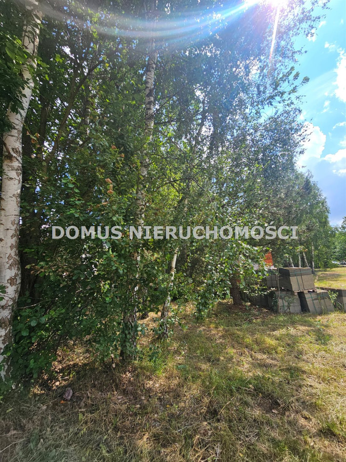 Działka w Boginii - Widok 2