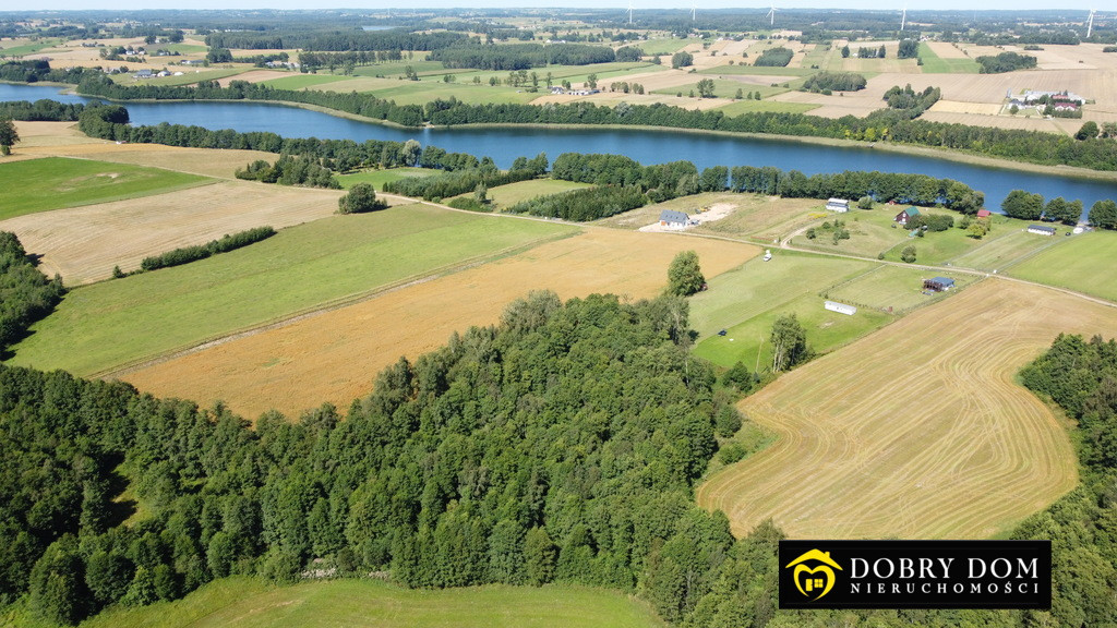 Działka zalesiona 300 m od jeziora 18 km od Suwałk - Widok 3