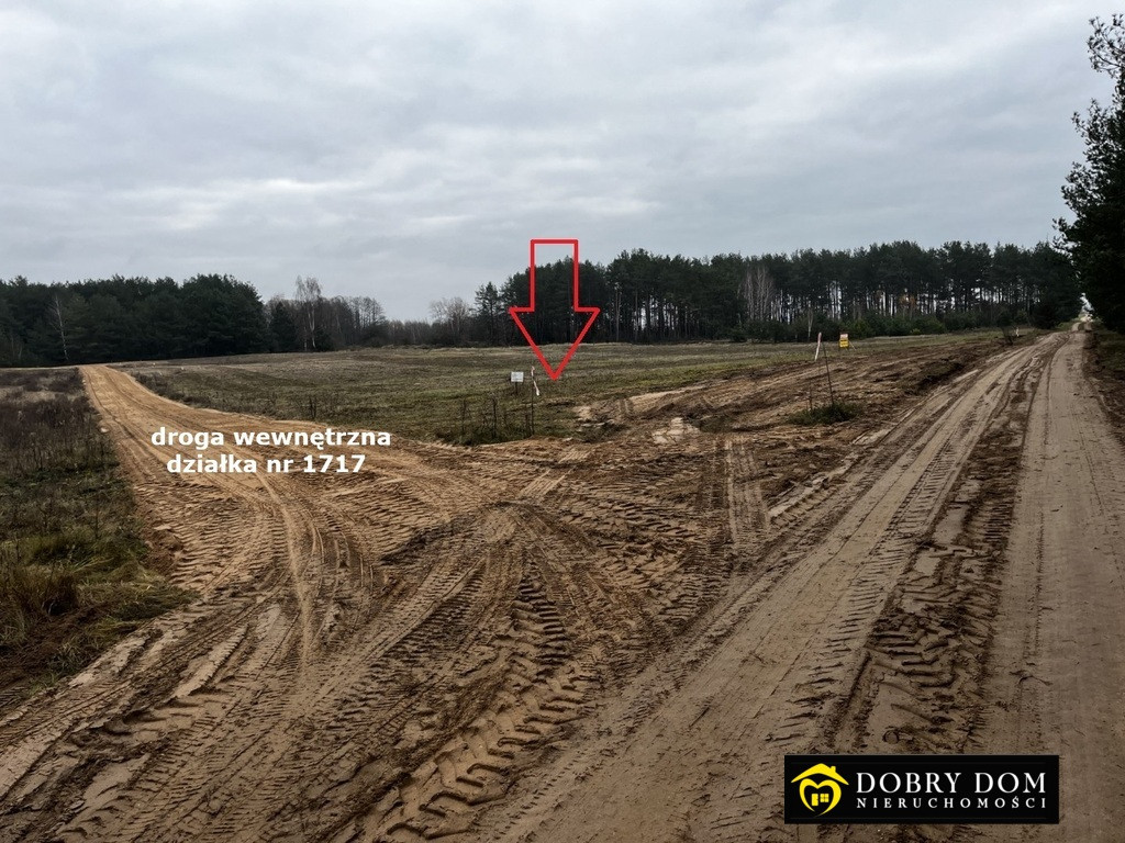 Działka z WZ blisko Narwi - Widok 5