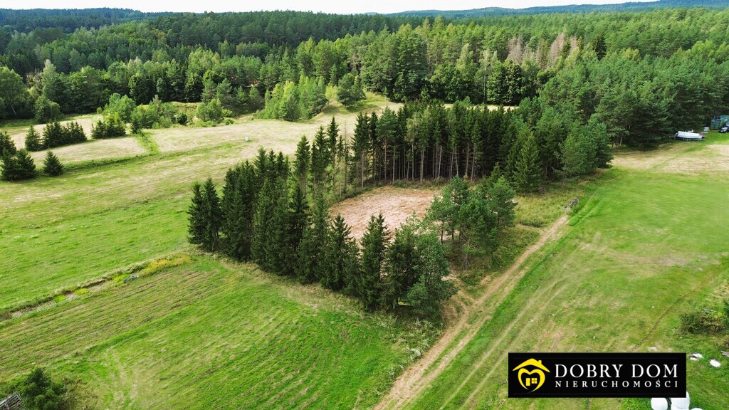 Azyl na Mazurach – Działka 2637 m² - Widok 3