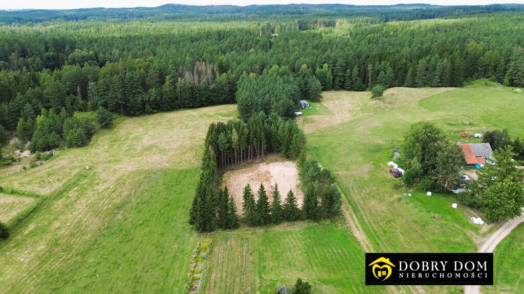 Azyl na Mazurach – Działka 2637 m² - Widok 2