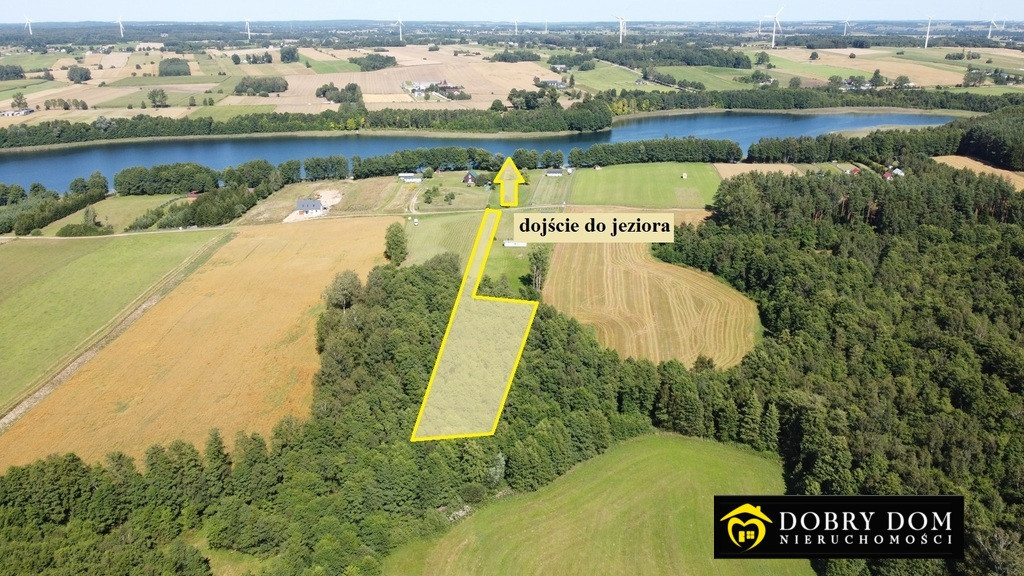 Działka zalesiona 300 m od jeziora 18 km od Suwałk - Widok 2