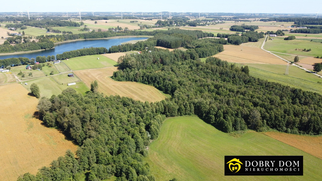 Działka zalesiona 300 m od jeziora 18 km od Suwałk - Widok 4