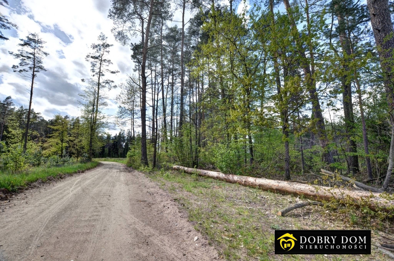Land, 3300 m²
