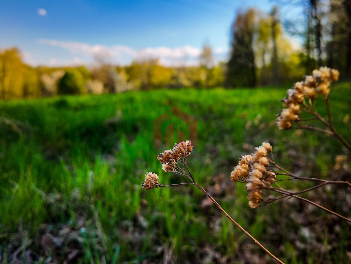 3,33 ha z lasem i strumykiem - teren pod zabudowę - Widok 5