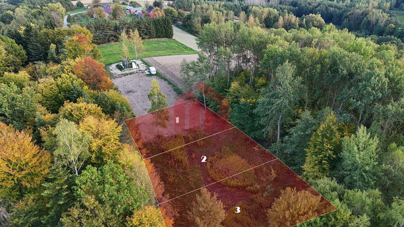 Własny ziemski kąt w otoczeniu lasu. Zagórze gmina Jodłowa - Widok 4
