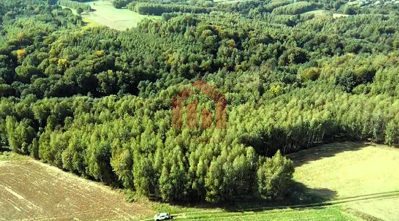 LAS I GRUNTY NA SPRZEDAŻ GNOJNICA, GMINA ROPCZYCE | 1,58 HA | - Więcej