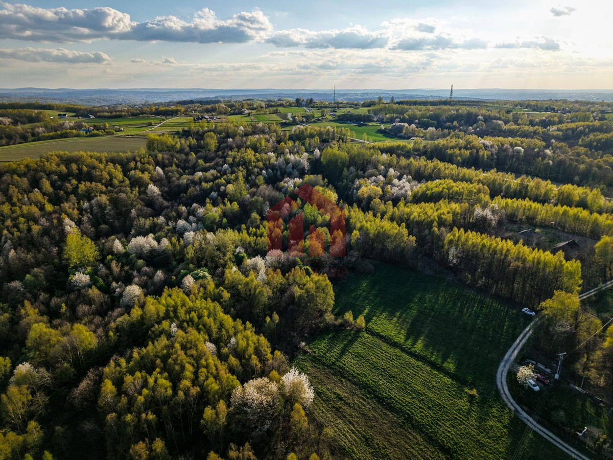 3,33 ha z lasem i strumykiem - teren pod zabudowę - Więcej