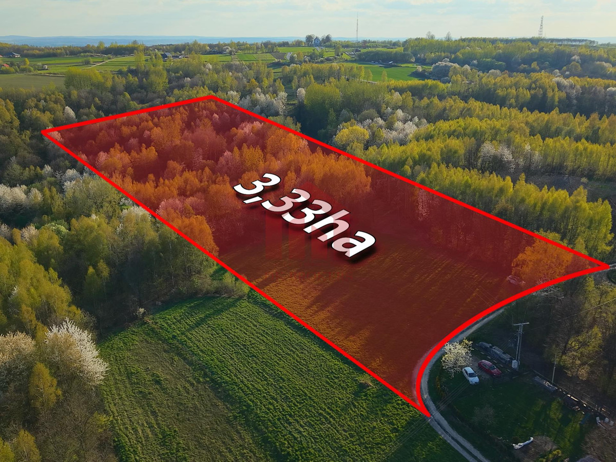 3,33 ha z lasem i strumykiem - teren pod zabudowę - Widok 3