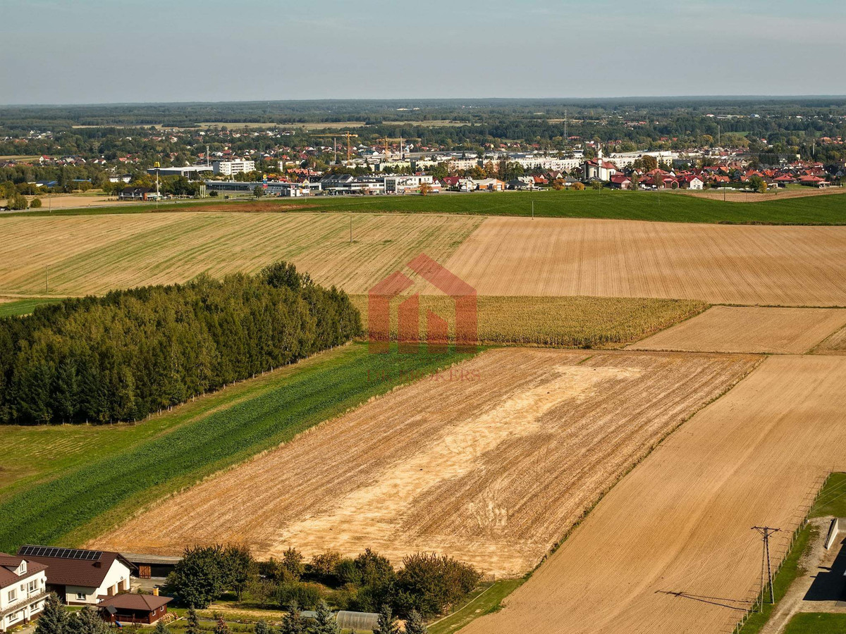 Działki siedliskowe,2 km Sędziszów Młp, Full MEDIA - Widok 2
