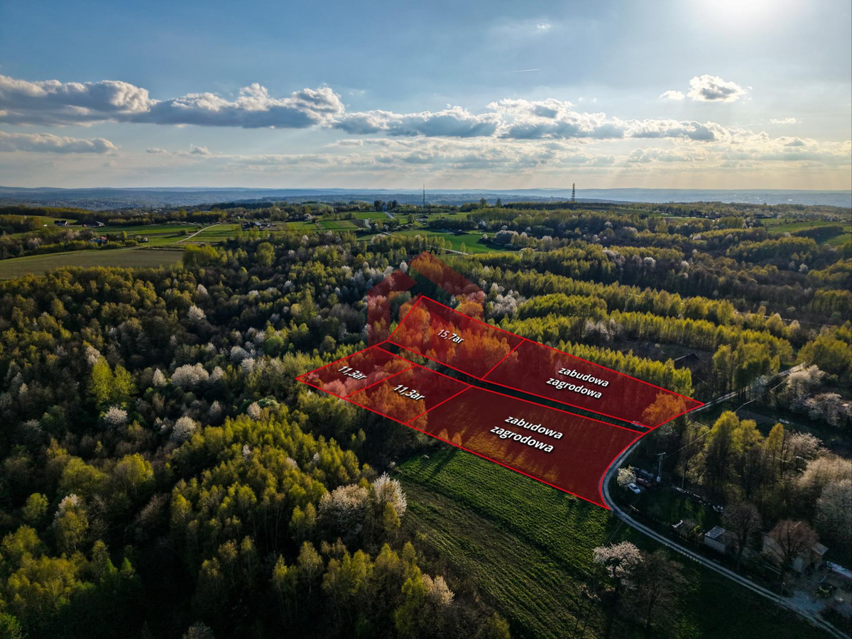 3,33 ha z lasem i strumykiem - teren pod zabudowę - Widok 4