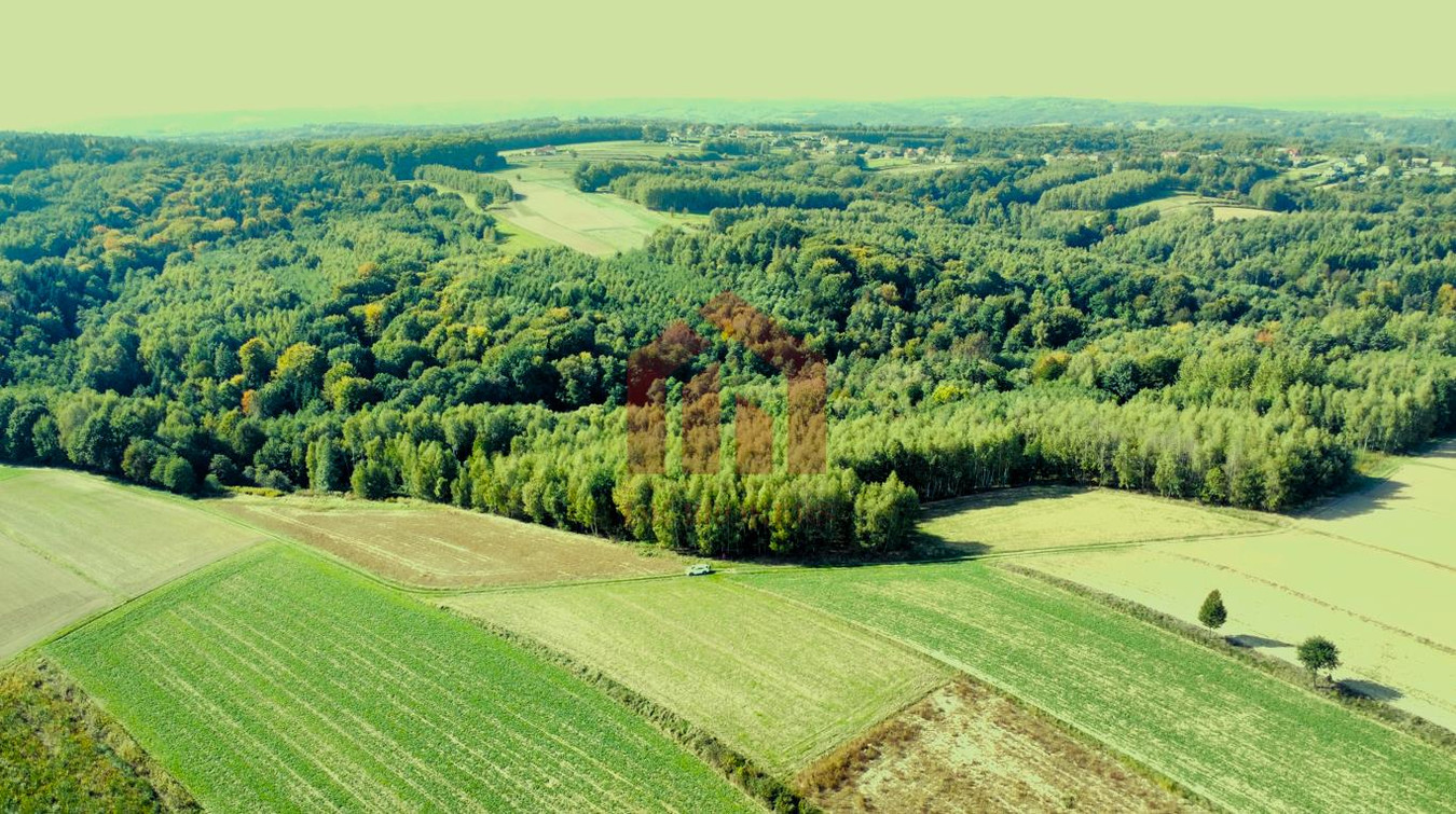LAS I GRUNTY NA SPRZEDAŻ GNOJNICA, GMINA ROPCZYCE | 1,58 HA | - Widok 2