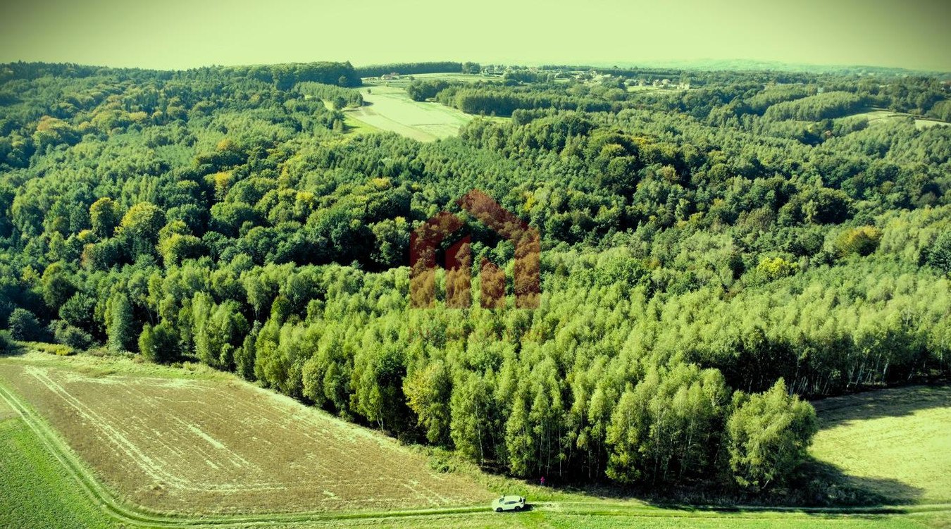 LAS I GRUNTY NA SPRZEDAŻ GNOJNICA, GMINA ROPCZYCE | 1,58 HA | - Widok 4