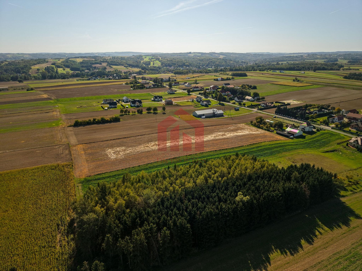Działki siedliskowe,2 km Sędziszów Młp, Full MEDIA - Widok 5