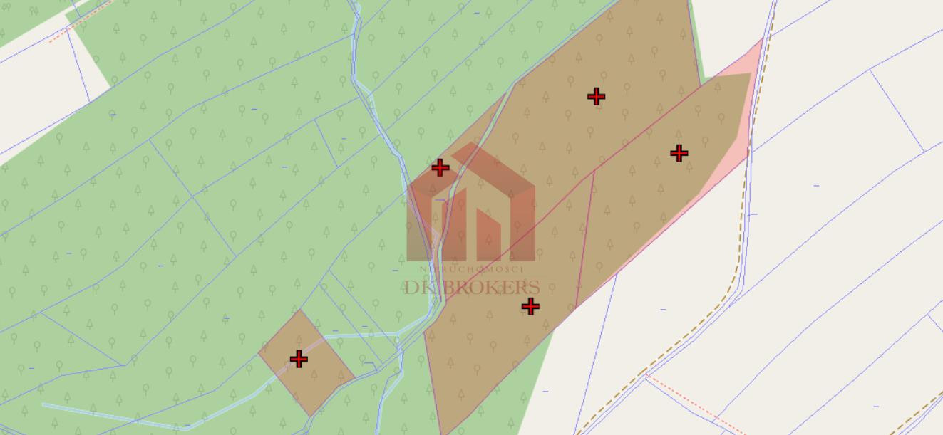 LAS I GRUNTY NA SPRZEDAŻ GNOJNICA, GMINA ROPCZYCE | 1,58 HA | - Widok 5