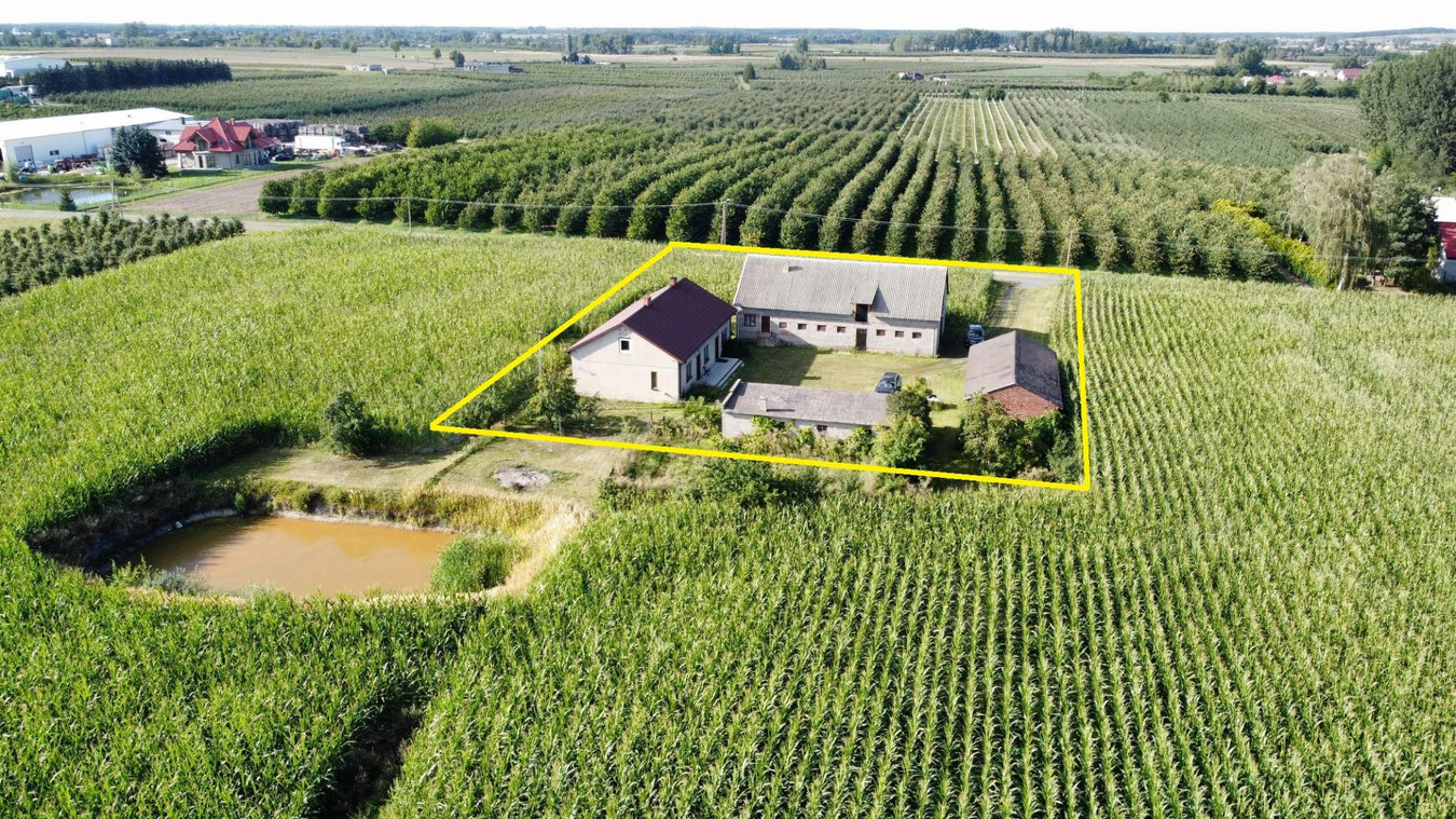 Dom – Sompolno, Wierzbie - Widok 4
