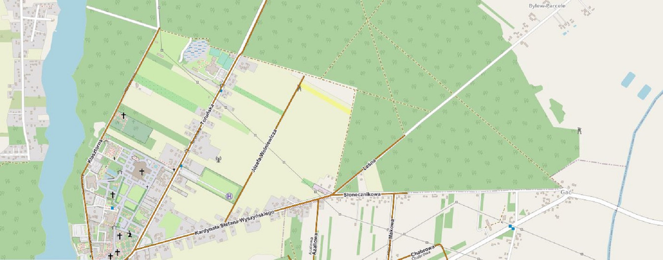 Działka budowlana o pow. 1 ha pod lasem, blisko jeziora-Licheń Stary - Widok 4