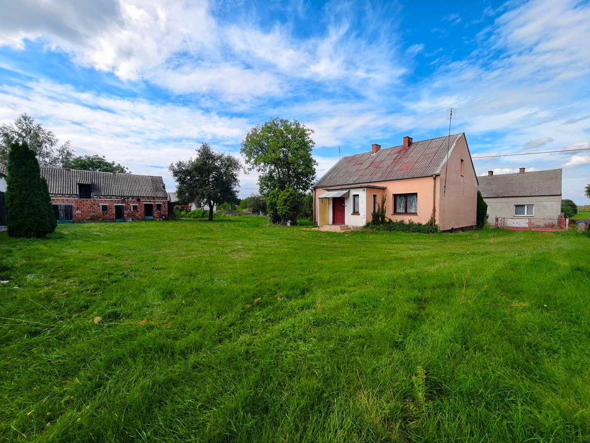 Dom – Kościelec, Dąbrowice Stare - Widok 4