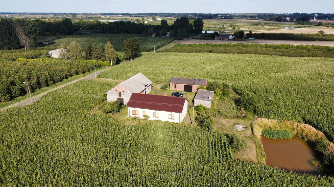 Dom – Sompolno, Wierzbie - Widok 3