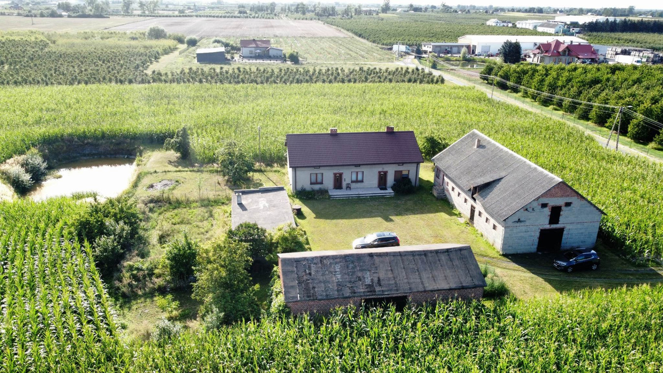 Dom – Sompolno, Wierzbie - Widok 5
