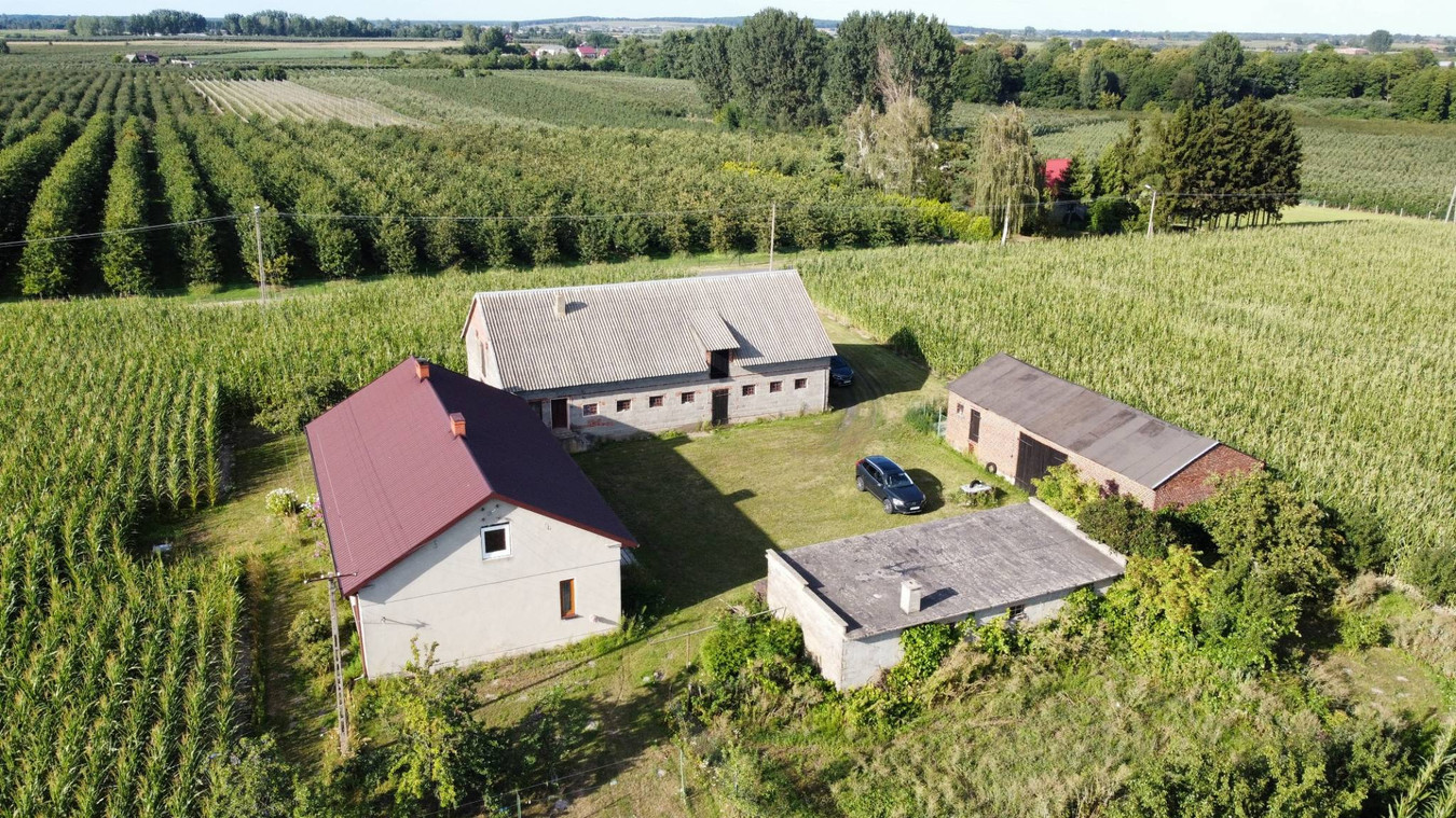 Dom – Sompolno, Wierzbie - Więcej