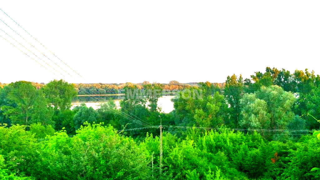 TAKA JEDYNA - Widok 3
