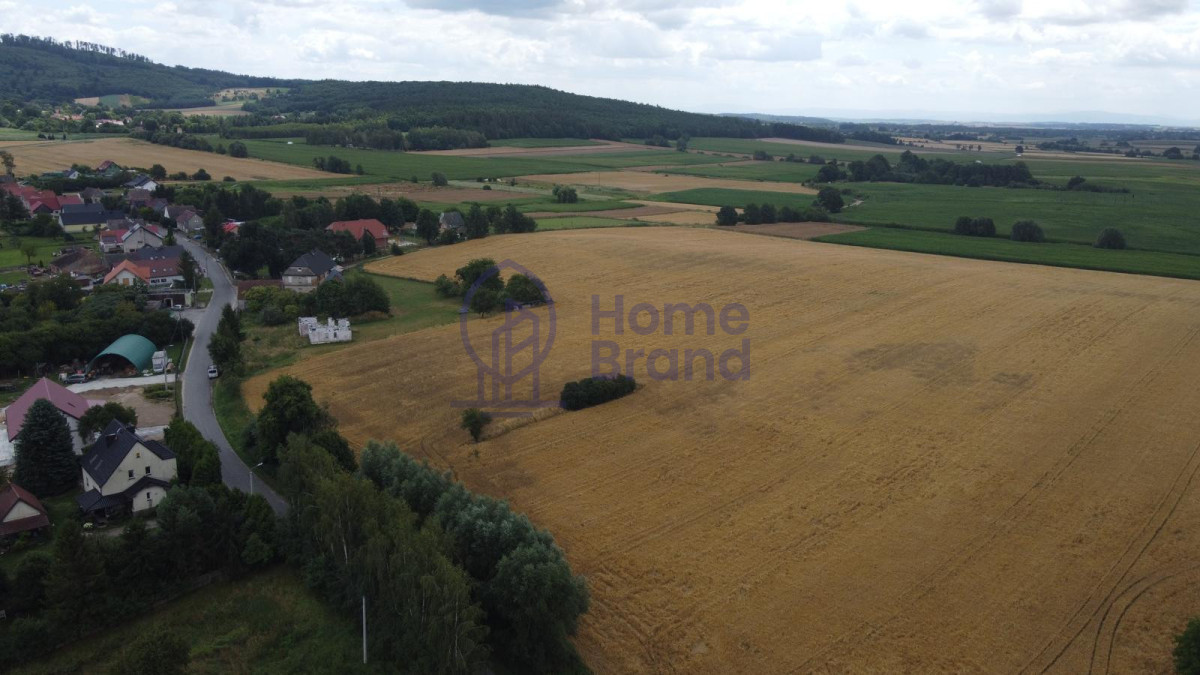 Działka budowlana 1240 m² | Gębice - Widok 5